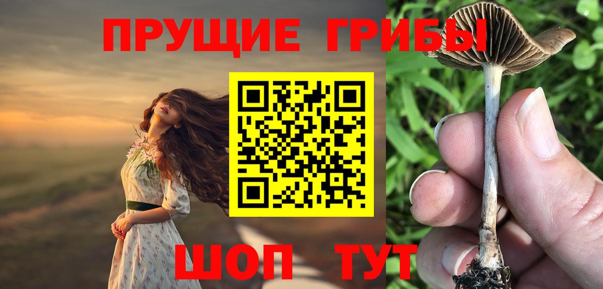 Галлюциногенные грибы мицелий  Псилоцибиновые грибы прущие грибы  купить наркотики сайты  Шали  Вход с VPN 